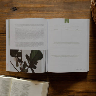 Faithful Bible Study