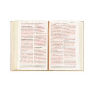 NLT Compact Bible: Casablanca Theme