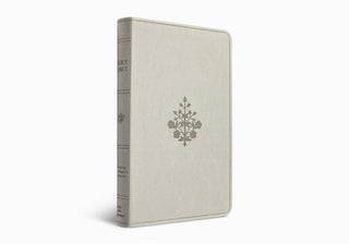 ESV Large Print Value Thinline Bible (TruTone, River Stone)