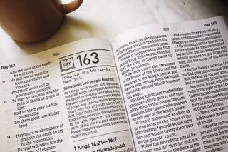 NASB Daily Scripture Super Giant Print Paperback White Gold