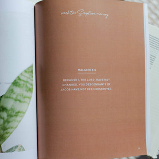 Waiting for Hope | Malachi Bible Study