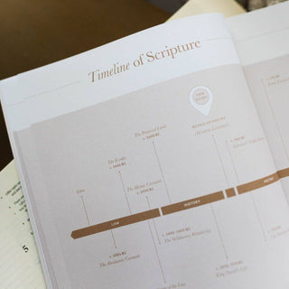 Delight Bible Study