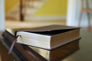 NIV, Foundation Study Bible, Leathersoft, Brown, Red Letter