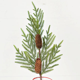 510076- 29in Branch-Evergreen Norfolk Pine w.Long Pinecones-