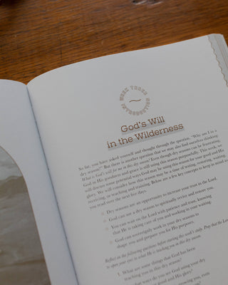 Rivers of Renewal: How God Meets and Nourishes You in Spiritually Dry Seasons