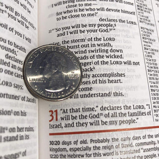 NIV Study Bible, Fully Revised Edition (Study Deeply. Believe Wholeheartedly.), Personal Size, Hardcover, Red Letter, Comfort Print