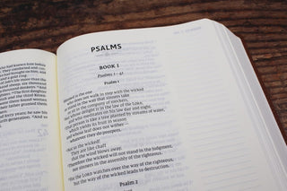 NIV, Journal the Word Bible (Perfect for Note-Taking), Large Print, Leathersoft, Brown, Red Letter, Comfort Print: Reflect, Take Notes, or Create Art Next to Your Favorite Verses