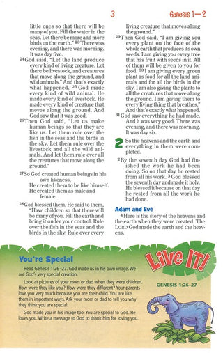 Adventure Bible for Early Readers-NIRV (Revised)
