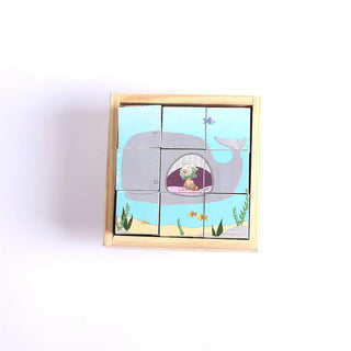 Puzzle Wood 6 Block Bible