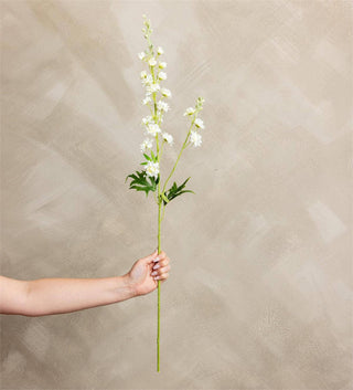 Stem - Larkspur White