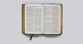 ESV Kid's Thinline Bible (Trutone, Bird of the Air)