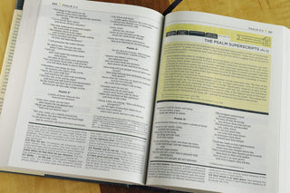 NIV, Starting Place Study Bible (An Introductory Study Bible), Hardcover, Tan, Comfort Print: An Introductory Exploration of Studying God's Word