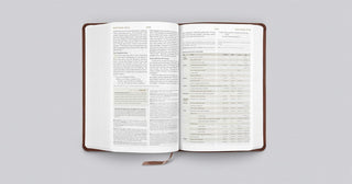 ESV Student Study Bible (TruTone, Chestnut)