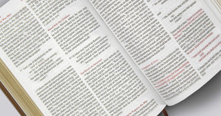 ESV Kid's Thinline Bible (Trutone, Bird of the Air)