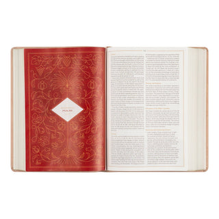 CSB Women's Study Bible: Sonora Theme