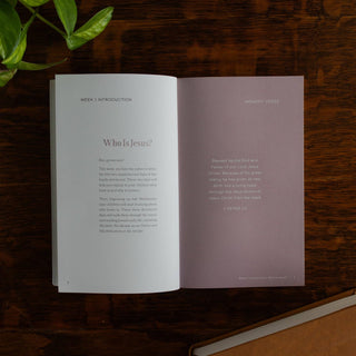 Walking With Jesus Family Lent Devotional