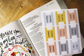 NIV Beautiful Word Bible Updated Edition with Tabs