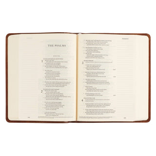 ESV Single Column Journaling Bible: Sierra Theme