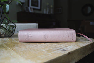 NIV Beautiful Word Bible Updated Edition with Tabs