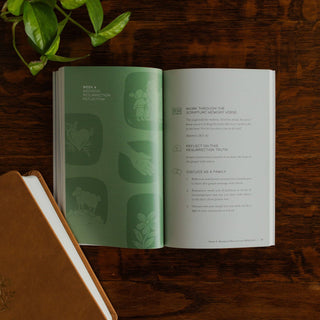 Walking With Jesus Family Lent Devotional