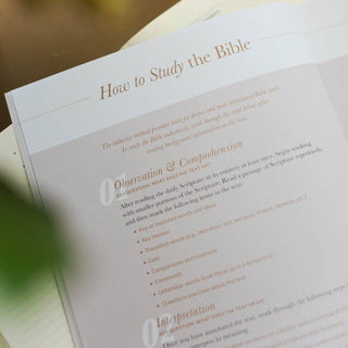 Delight Bible Study