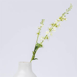Stem - Larkspur White