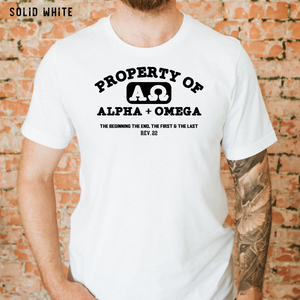 Alpha & Omega Christian Men's Tee Shirt in Multiple Color Options