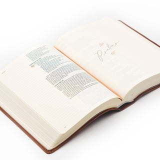 CSB NOTETAKING BIBLE: VIENNA THEME Hosanna Revival