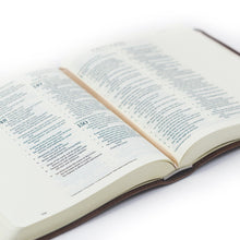 ESV JOURNALING BIBLE: WESTMINSTER THEME Hosanna Revival