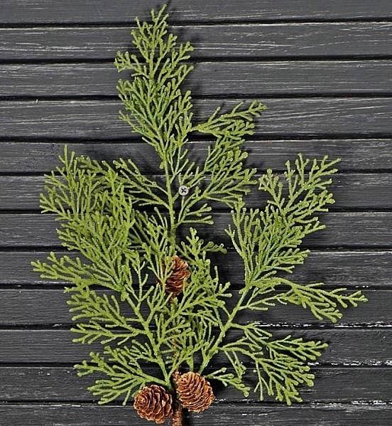 ISB68215- 20in Fresh looking Cedar pine Spray